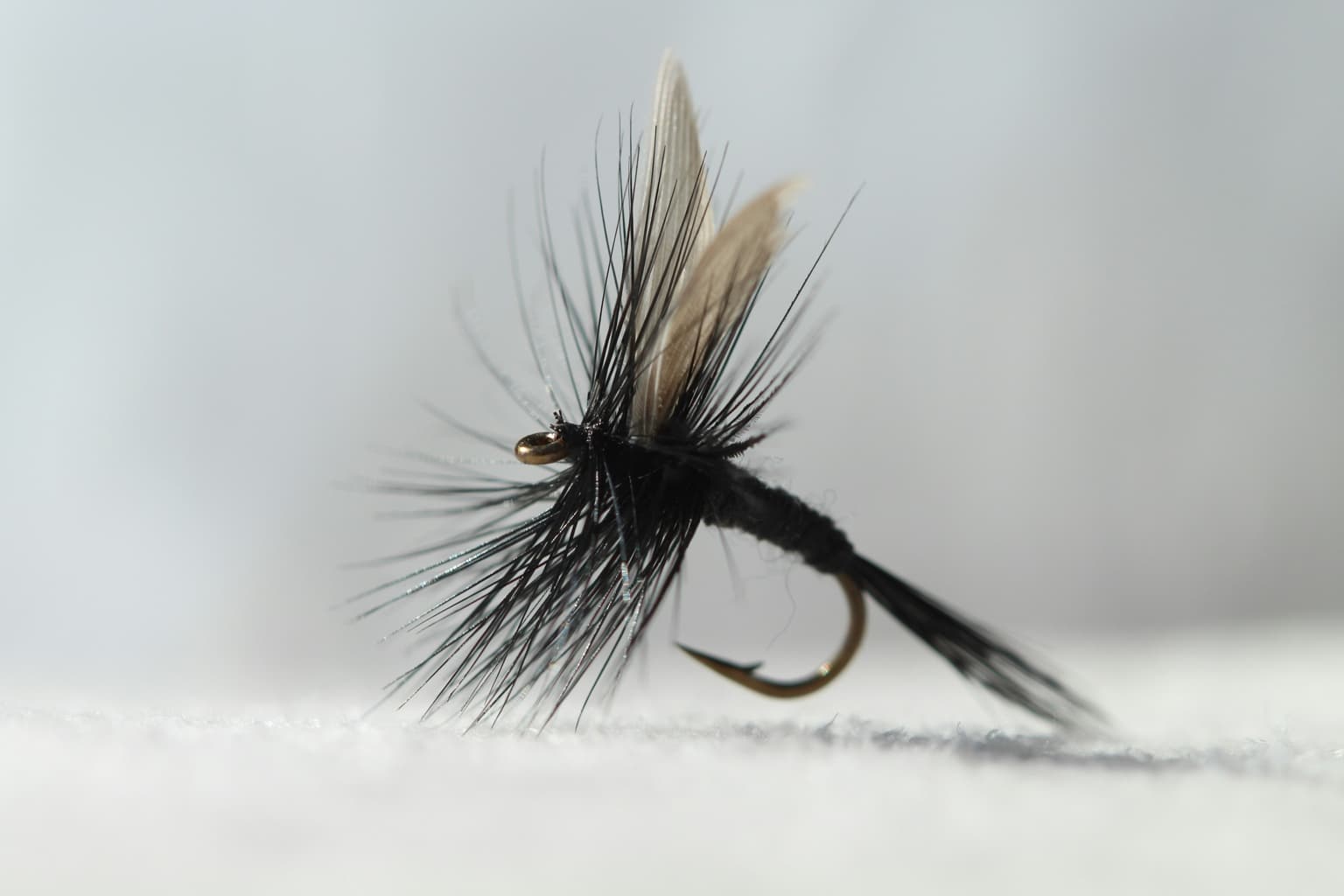 Close-up of premium fly-fishing flies