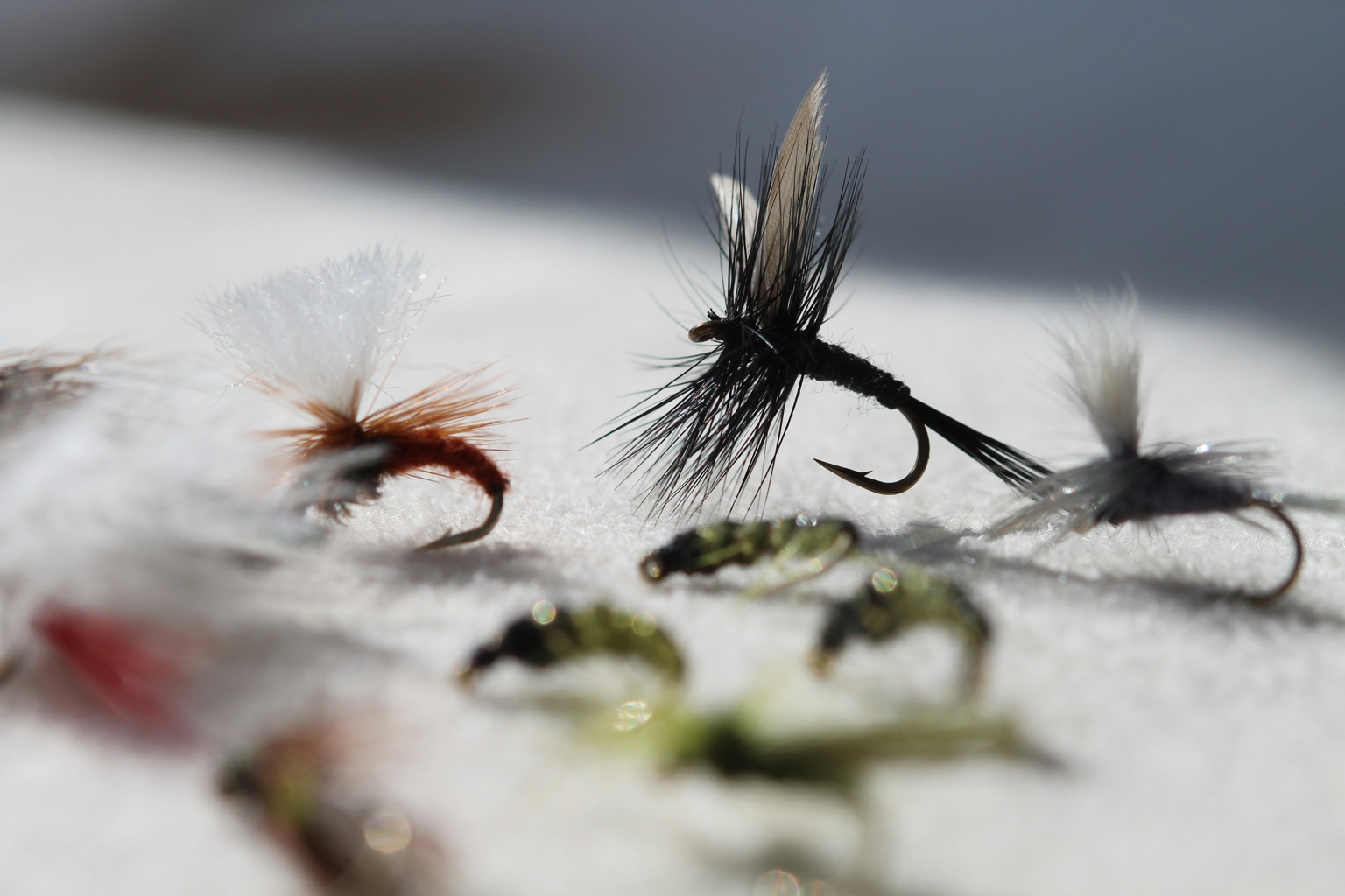 Spring Fly Box Essentials for the Northeast: From Bare Minimum to Master's Kit