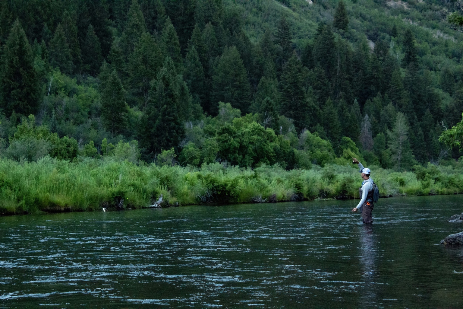 Man fly fishing in lush river setting